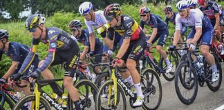 Jumbo Visma tour