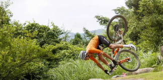 Van der Poel