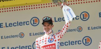 Wout Poels