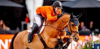 Van der Vleuten brons springen